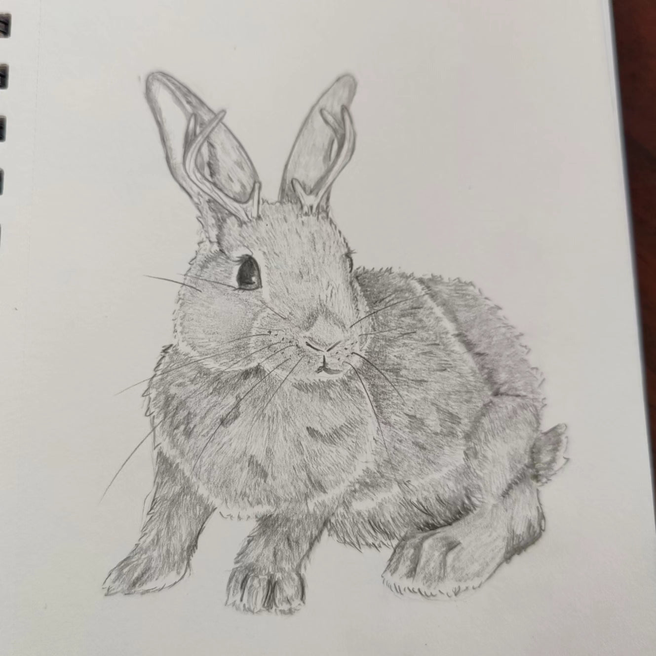 General Commissions