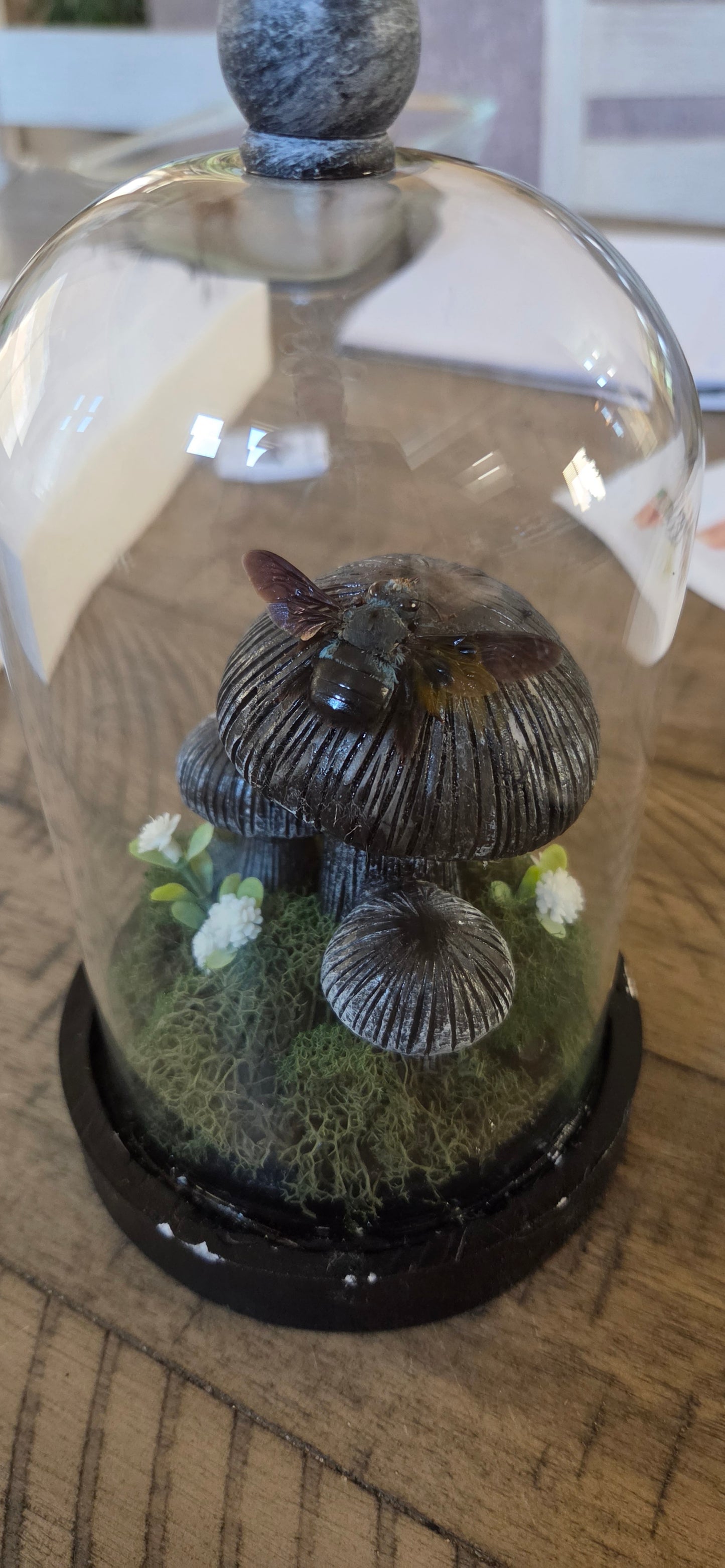 General Commissions