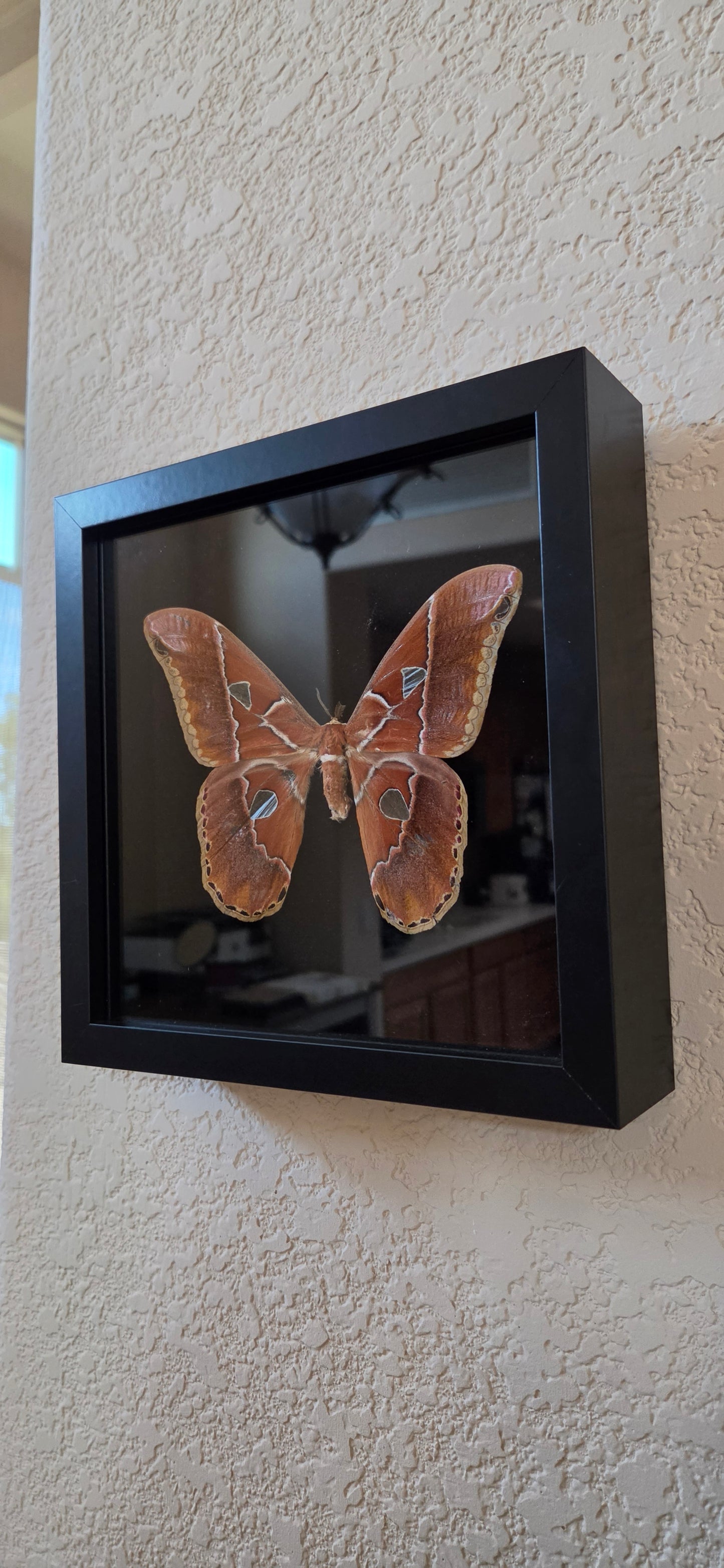 General Commissions